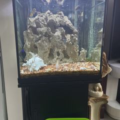 fish tanks