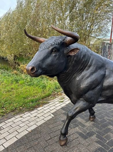 Life Size Bronze Bull Sculpture