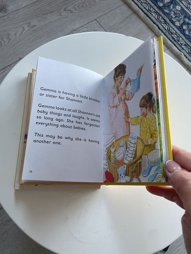 Vintage Ladybird for Adults