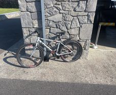 Trek Mountain Bike