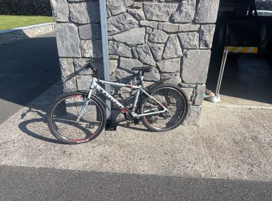 Trek Mountain Bike