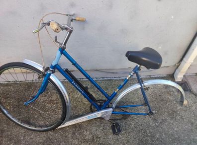 old bike only  need rear wheels!