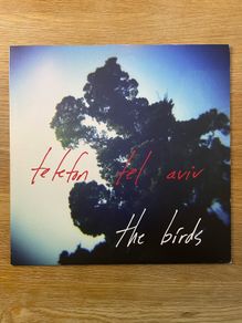 Telefon Tel Aviv - The Birds - 12" Vinyl Single - 2012 BPitch Control