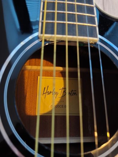 Guitar
