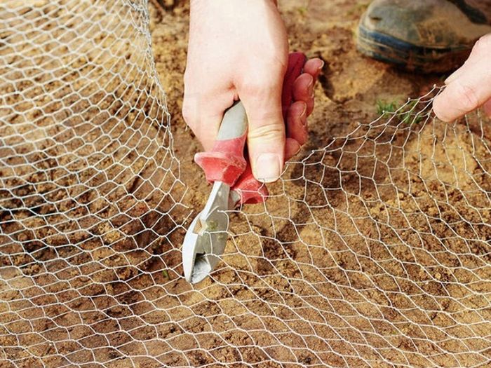 Chicken Wire Mesh Roll, PVC Coated Hexagonal Wire Mesh Fencing, Wire Poultry Netting, 1m x 25m, Hole Size: 25mm, Green (FREE POSTAGE)