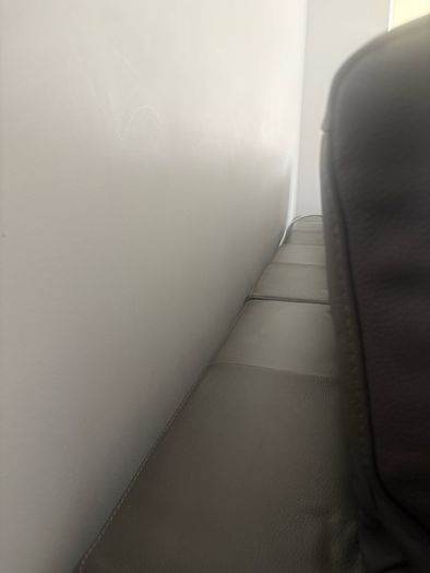 brand new couch sofa