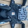 ErgoBaby - Omni 360 (+ infant inset) Image 2