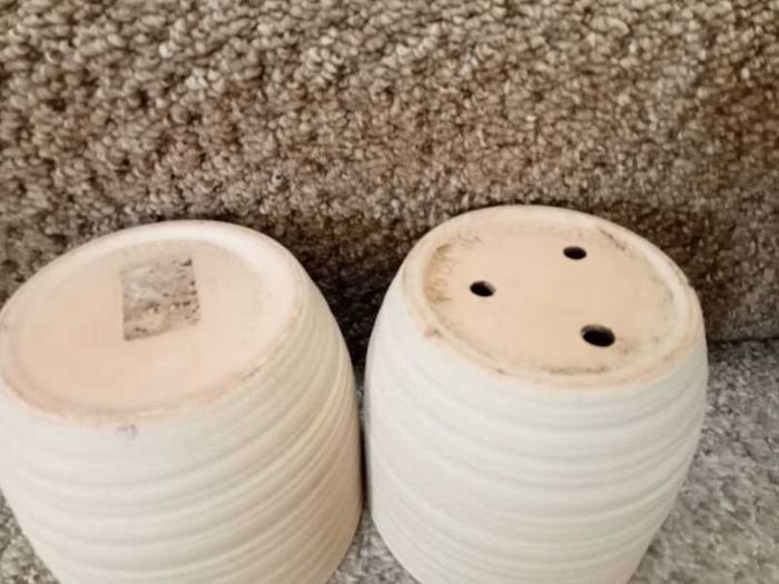 Cream plant pots x 2