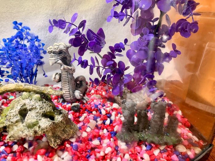 Fish Tank Aqua 60cm - Bow Front Aquarium 45L