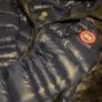 Canada Goose Image 2