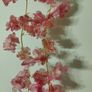 cherry blossom flowers vine Image 7