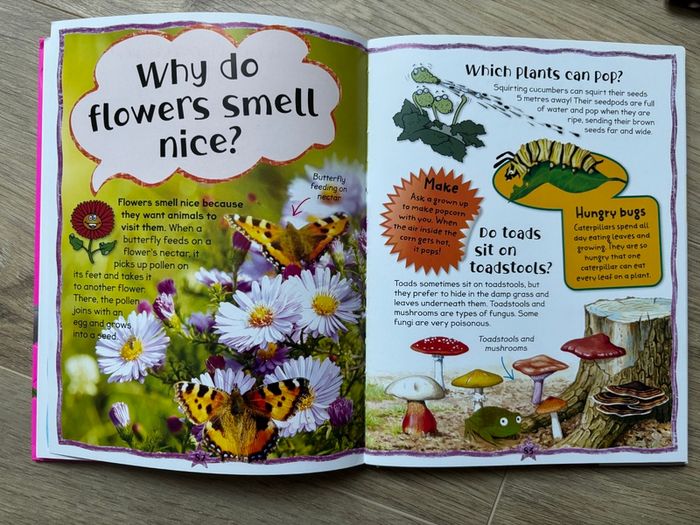 Information Book for Kids- My Fun Book of Questions and Answers by Miles Kelly