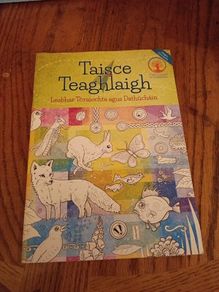 Irish language Colouring Book