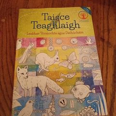Irish language Colouring Book