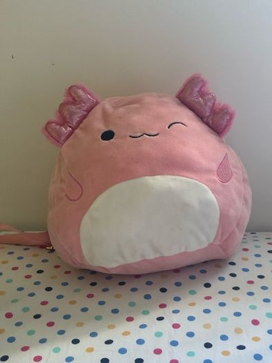 teddy bag