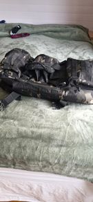 Multipurpose, camouflage range bag