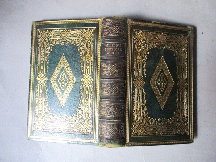 The Complete Poetical Works Of John Milton