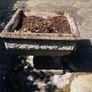 planters Image 3