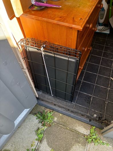 dog crate