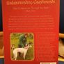 Understanding Greyhounds - Mary Fox Image 2