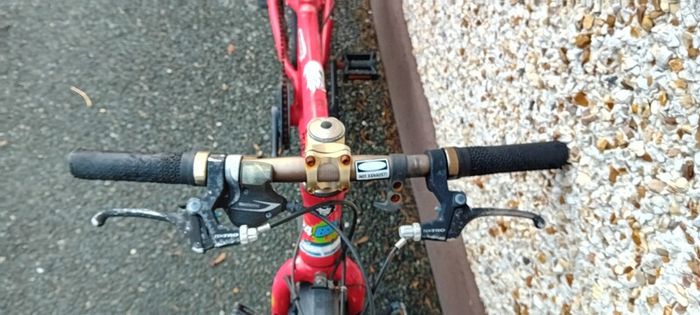 Kids Frog Bike/repair