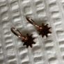 Earrings Crystal/Rose Gold Image 4