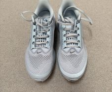 Nike Pegasus Premium women's runners