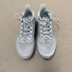 Nike Pegasus Premium women's runners