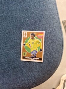 panini sticker