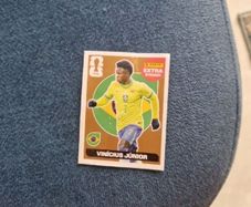 panini sticker