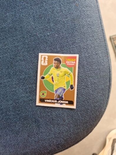 panini sticker