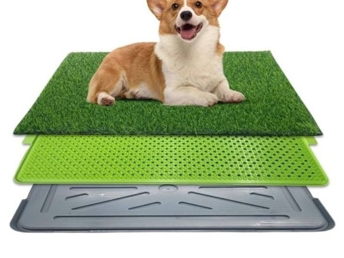 Used Like new Dog training tray No fake grass . Selling for 15 Euro