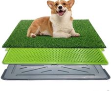 Used Like new Dog training tray No fake grass . Selling for 15 Euro