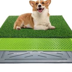 Used Like new Dog training tray No fake grass . Selling for 15 Euro