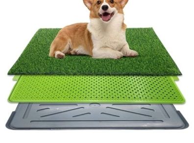 Used Like new Dog training tray No fake grass . Selling for 15 Euro