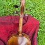 Violin Image 6