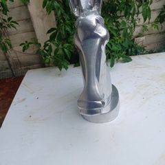horse head