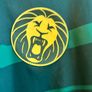 Cameroon World Cup 2022 Home Jersey Image 8