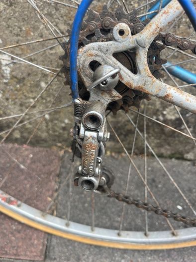 Cinelli
