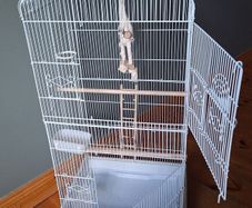Bird cage