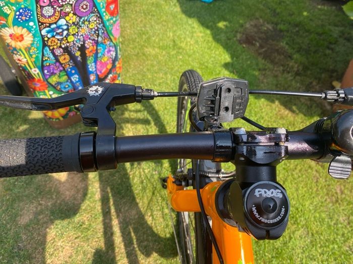 Frog Bike