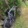 raleigh bike Image 3