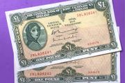 Irish one pound lavery notes