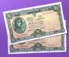 Irish one pound lavery notes
