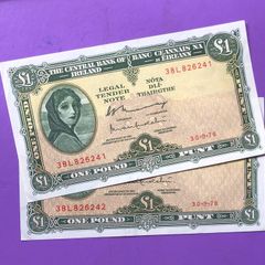 Irish one pound lavery notes