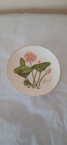 Philippine Airlines Fine Bone China Decorative Mini Plate