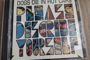 PROMO COPY - Dogs die in Hot Cars - Please Describe Yourself