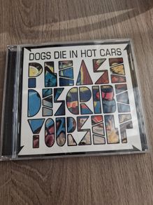 PROMO COPY - Dogs die in Hot Cars - Please Describe Yourself