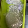 Vivarium & heaters. 4x2x4 pvc viv. Image 6