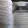 Clonmacnois Illustrated history and guide Ireland Irish Co, Offaly Image 4
